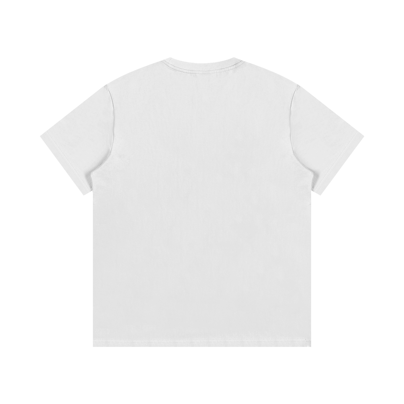 VF Classic T-Shirt(Premium)